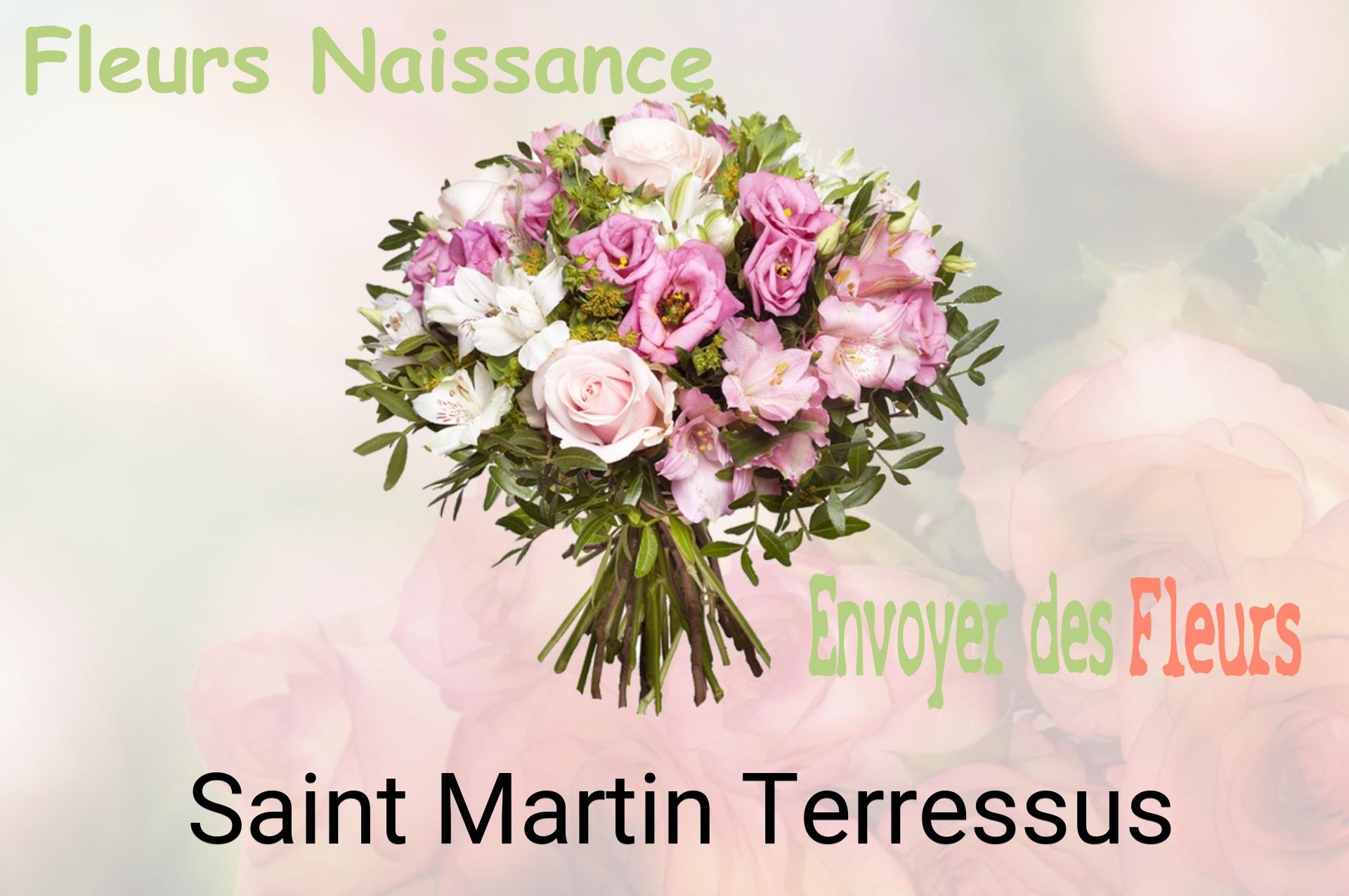 Bouquet de fleurs de naissance livré à Saint-Martin-Terressus